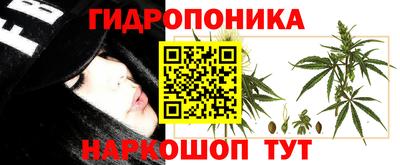 тгк Беслан